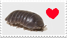 isopod with a heart
