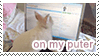 spreading misinformation on my puter
